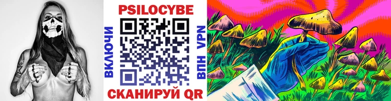 Галлюциногенные грибы Cubensis  Белокуриха 